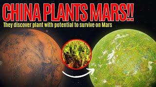 Revolutionary Chinese Scientists Reveal Moss Thrives on Mars