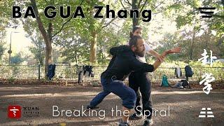 Ba Gua Zhang Application Breaking the Spiral Spiral Drill Step 4