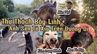 Thử Thách Xem Phản Ứng Của Bầy Lính Khi Thấy Anh Sen Té Xỉu - Kẻ Phản Bội Sẻ Bị Trừng Phạt