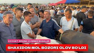 SHAXIDON MOL BOZORI OLOV BOʻLDI XAMMA BUQALARDAN BOR.