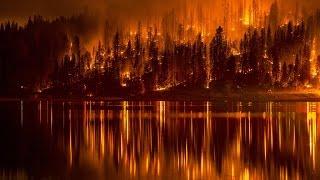 Взгляд изнутри Операция лесной пожар Документальные фильмы National Geographic HD