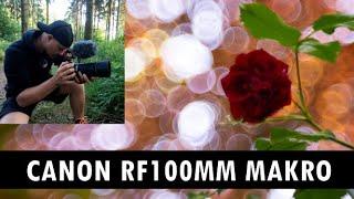 Canon RF100mm - Bokeh und erster Eindruck