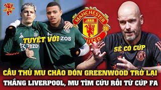 Tin Bóng Đá 193 Cầu Thủ MU Chào Đón Greenwood Trở Lại Ten Hag Tự Cứu Mình Bằng Cup FA