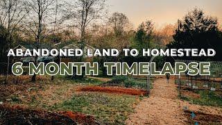 Homestead Timelapse - First 6 Months  How We Made it Happen as Newbies