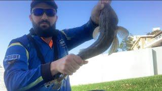 How to Catch Flathead in Sydney - Excellent Lure Tips