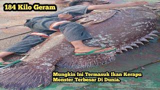 #VIRALMANCING DI MUARA DAPAT IKAN KERAPU BERAT 184 Kilo.