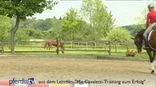 Mit Cavaletti-Training zum Erfolg - so klappts  Ingrid Klimke