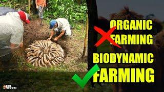 Why Biodynamic Farming Takes the Lead Over Organic Farming