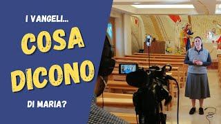 Cosa dicono i vangeli su Maria?