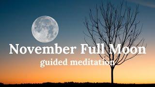 November Full Moon  Guided Meditation  Beaver Moon  Full Moon In Taurus 2021