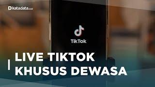 Ada Batasan Usia Ini Sederet Aturan Baru Live Streaming di Tiktok  Katadata Indonesia