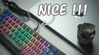 Budget Mechanical Gaming Keyboard Duo  AEON Gaming Sentry & Striker Review