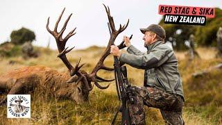 Hunting Giant Red Stag & Sika Deer in New Zealand