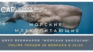 Морская биология лекция 7. Моские млекопитающие