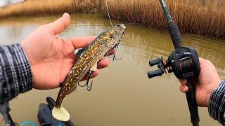 Catching BIG Pike from a Tiny Drain new PB