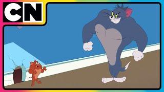 Tom & Jerry  Just Cat & Mouse Things  #tomandjerry  Funny Cartoons  @cnindia