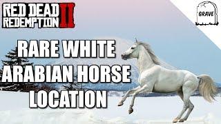 مکان اسب عرب سفید نادر Red Dead Redemption 2