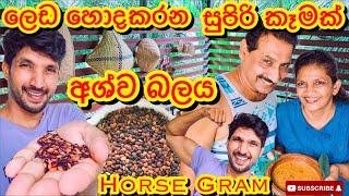 ලෙඩ හොදකරන සුපිරි කෑමක්How to make Horse gram - Sangeeth  VlogsSangeeth Satharasinghe