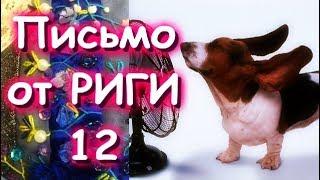 ПИСЬМО ОТ РИГИ 12