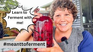 Learn to Ferment with me #meanttoferment