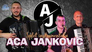 Orkestar Ace Jankovica - Splet Instrumentala STIL kod Momčila 2024