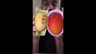 Pakistani Mango vs. The MOST EXPENSIVE MANGO in the World Japanese Miyazaki