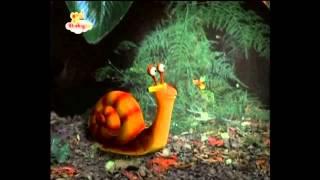 BabyTV Mr Snail - vuurvliegjes