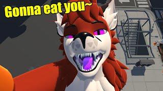 FACE TRACKING Furry ASMR Macro Wants to Eat You
