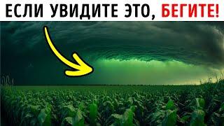 Почему нужно прятаться если небо вдруг позеленеет?