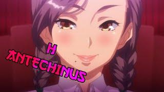 Los 5 Mejores Animes H de Antechinus