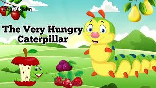 Hungry Caterpillar  The Very Hungry Caterpillar  Very Hungry Caterpillar  Story in English