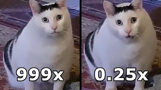 Huh Cat but its 0.25x vs 999x speed