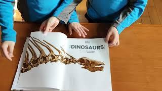 DK The Dinosaurs Book  The Dinosaurs Book by DK  Dinosaur Book for Kids  Twins O&A book flip