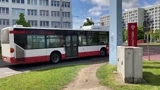 Citaro Erdgasbomber April 2024 in Halle Saale