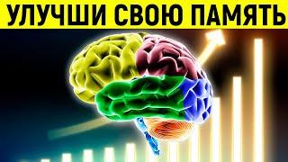 10 Простых Правил Которые Улучшат Вашу Память На 97%  Смотри и Знай