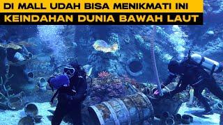 BXSea Bintaro 4K  Aquarium Terbesar di Indonesia di Bintaro Xchange Mall 2