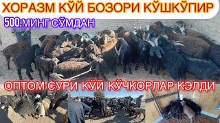 500 МИНГ ДАН КЎЗИЛАР КЕЛДИ  ХОРАЗМ КЎЙ БОЗОРИ  КЎШКЎПИР КЎЙ КЎЧКОРЛАР НАРИХЛАРИ ТУШДИ КЕСКИН 30-МАЙ