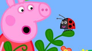 Peppa Finds A Ladybug   Peppa Pig Official Full Episodes