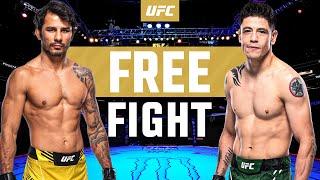 Alexandre Pantoja vs Brandon Moreno  FULL FIGHT  UFC 301