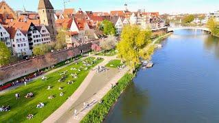 Frühlingsspaziergang an der Donau in Ulm  Spring Walk Ulm Germany 2024 Short