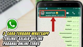 3 Cara Terbaru agar Wa Terlihat Offline Padahal Online