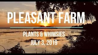 Pleasant Farm - A Family Community