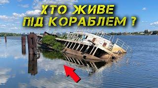  Хто тут Живе? Рибалка на Дніпрі влітку 