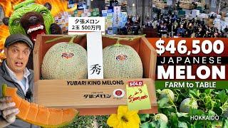 How Japanese Melons become Luxury Fruits  Yubari King Melon Story  ONLY in JAPAN