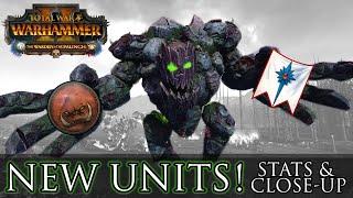 NEW UNITS for Greenskins & High Elves - Close-Up & Stats Warhammer 2 Warden & The Paunch DLC