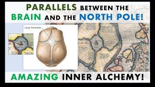 INNER ALCHEMY Parallels Between EARTH and the BODY Macrocosm Vs. Microcosm The Brain & North Pole