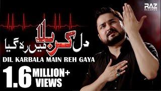 DIL KARBALA MAIN REH GAYA  New HD Noha 2018 20191440  Syed Raza Abbas Zaidi Nohay 2019