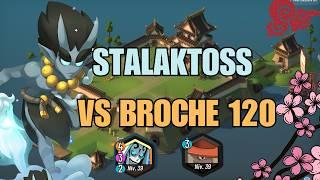 WAVEN IOP Stalaktoss vs broche 120 de cerdos