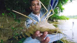 Fishing for blue claw shrimp in shallow water - River fishing videos