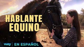 HABLANTE EQUINO  ESTRENO 2024   PELICULA EXCLUSIVA FAMILIAR  PELICULA EN ESPANOL LATINO